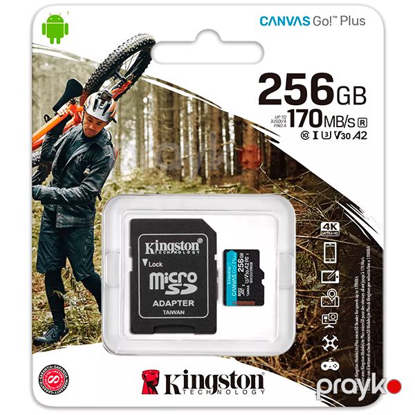 Kingston Canvas Go Plus microSD 256GB SDCG3/256GB-N Black — Mallar, Bakı (4)