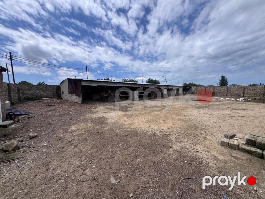 Satılır torpaq 25 sot — Torpaq, Bakı (12)