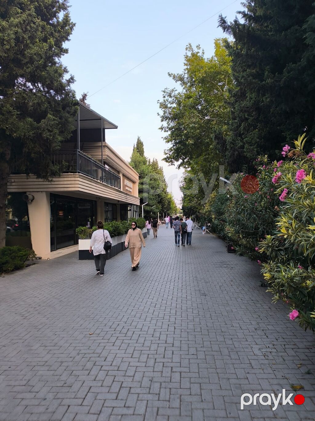 Təsvir Gənclik Metrosuna + Atatürk Parkına Yaxın Təzə Binada 100 Kw — Mənzil, Bakı (6)