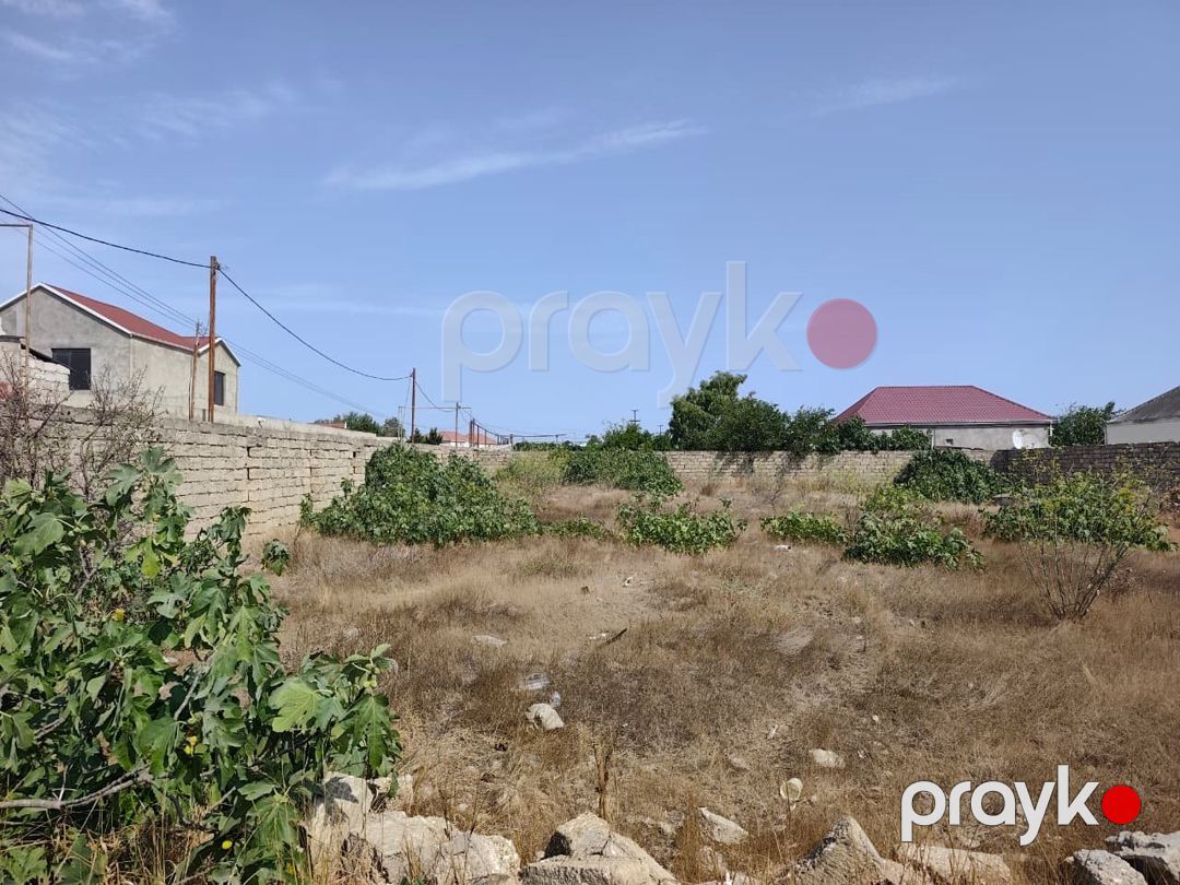 Satılır — Mallar, Bakı (3)