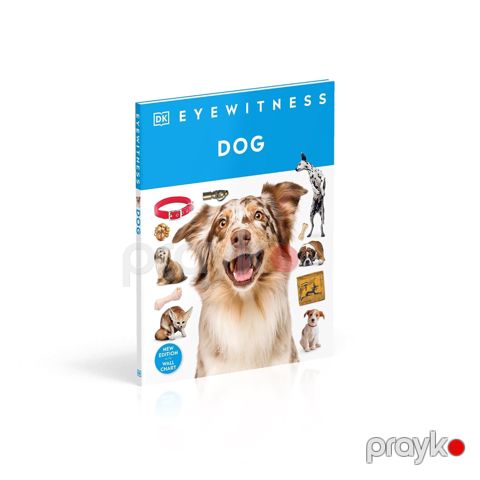 Eyewitness Dog — Bakı