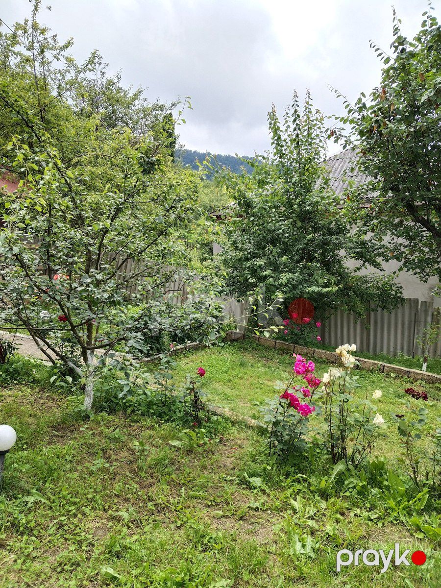 Bağ evi kirayə verilir, Quba r — Ev, villa, Quba (5)