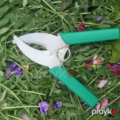 Bağban qayçısı - prm_018 — Bakı