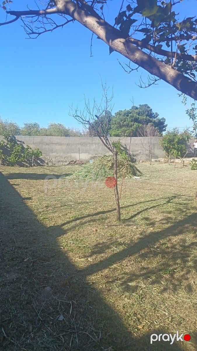 Satılır torpaq 4 sot — Torpaq, Bakı (3)