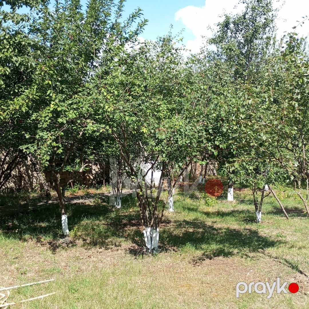 Satılır 4 otaqlı həyət evi/bağ evi 120 m² — Ev, villa, Şamaxı (4)