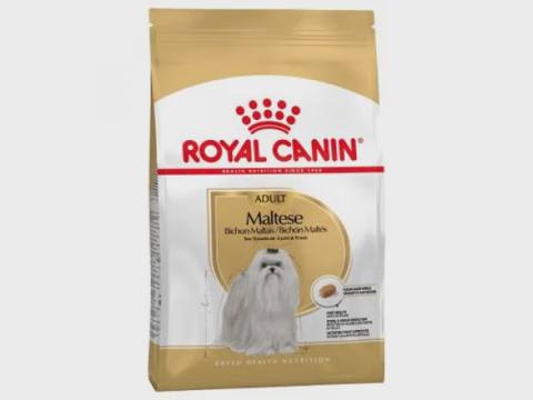 Royal Canin Maltese Adult, 10 aydan yuxarı Malta bolonkası cinsli itlər üçün quru yem, 1,5 kq — Товары для животных