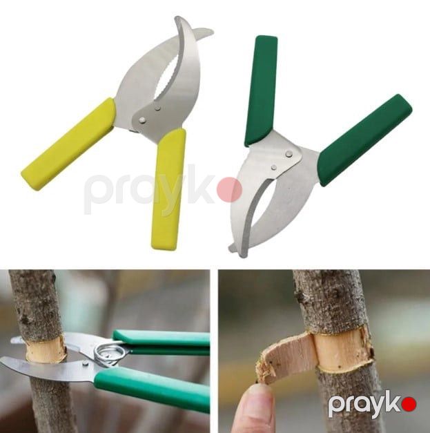 Bağban qayçısı ağac üçün, yaşıl qulp prl_0373 — Mallar, Bakı (4)