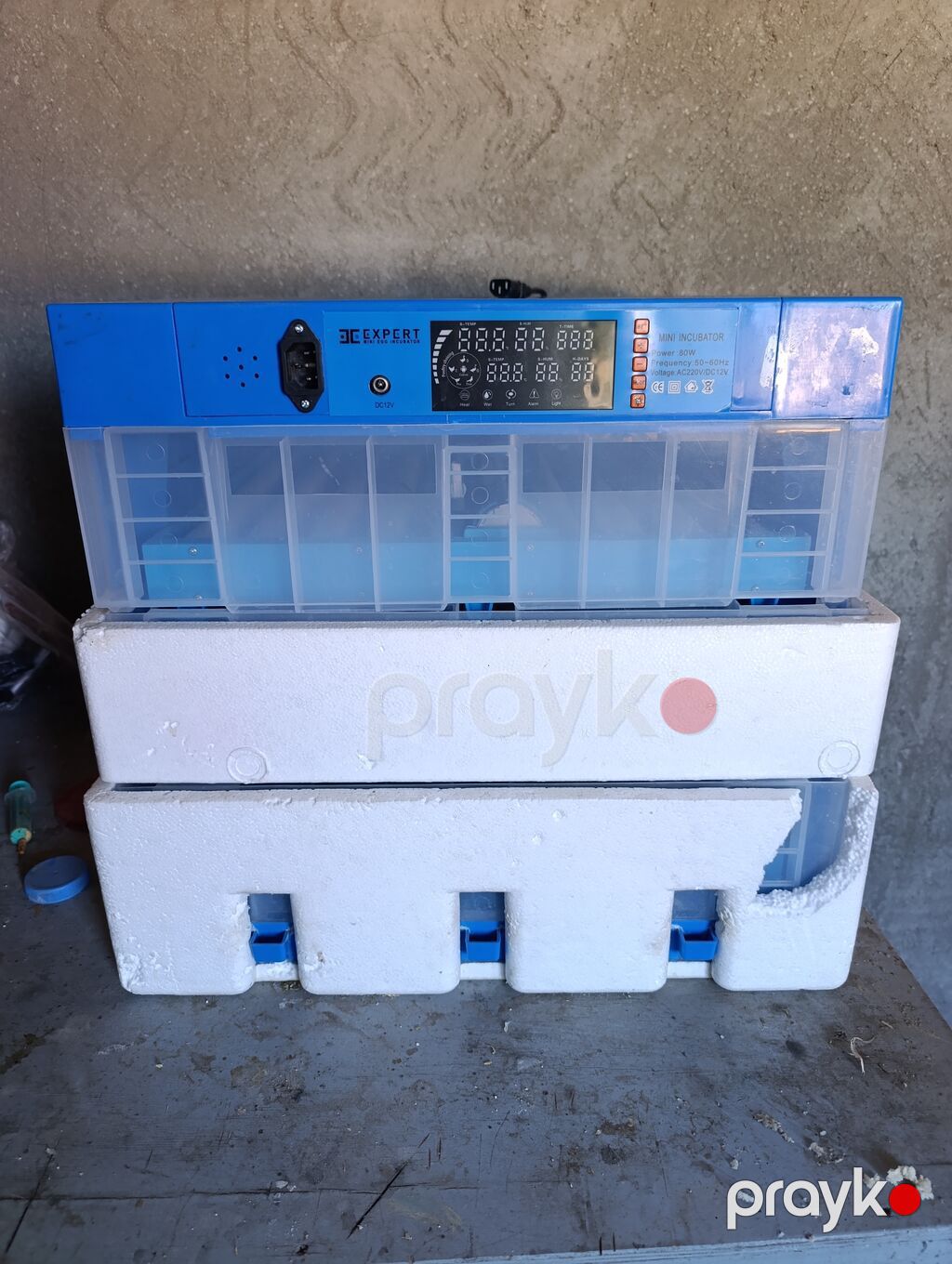 EC Expert Mini Inkubator - Model üzərində: “EC Expert Mini Incubator” — Kənd təsərrüfatı avadanlığı, Pirəkəşkül (2)