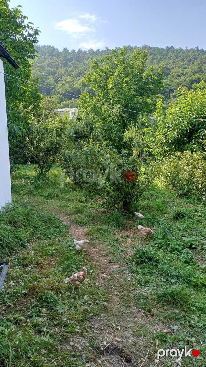 Bağ evi kirayə verilir, Qusar r — Ev, villa, Qusar (10)