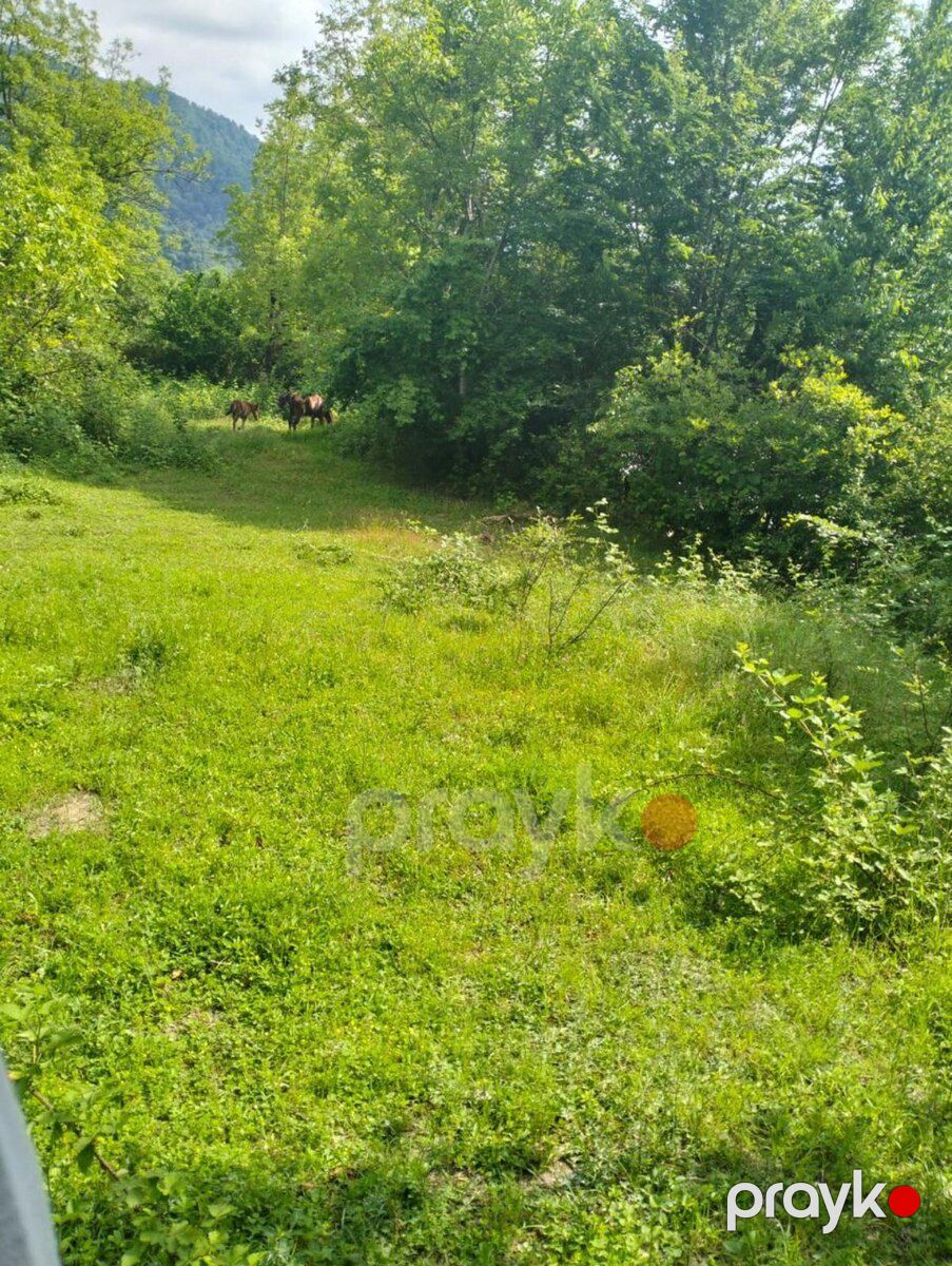 5 sot torpaq sahəsi, İsmayıllı r — Torpaq, İsmayıllı (3)