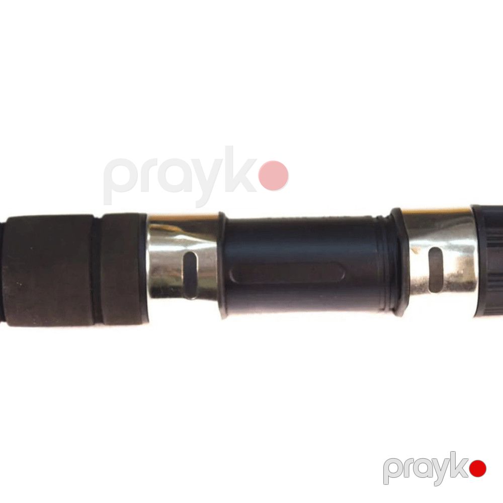 Tilov ağacı Tele Carp, 3 m — Mallar, Bakı (3)