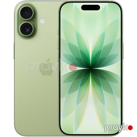 iPhone 17 256 GB Sage