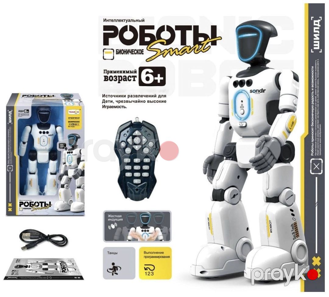 Radio ilə idarə olunan interaktiv robot, 6+ yaş, Ağ, İdarə pultu — Mallar, Bakı (2)