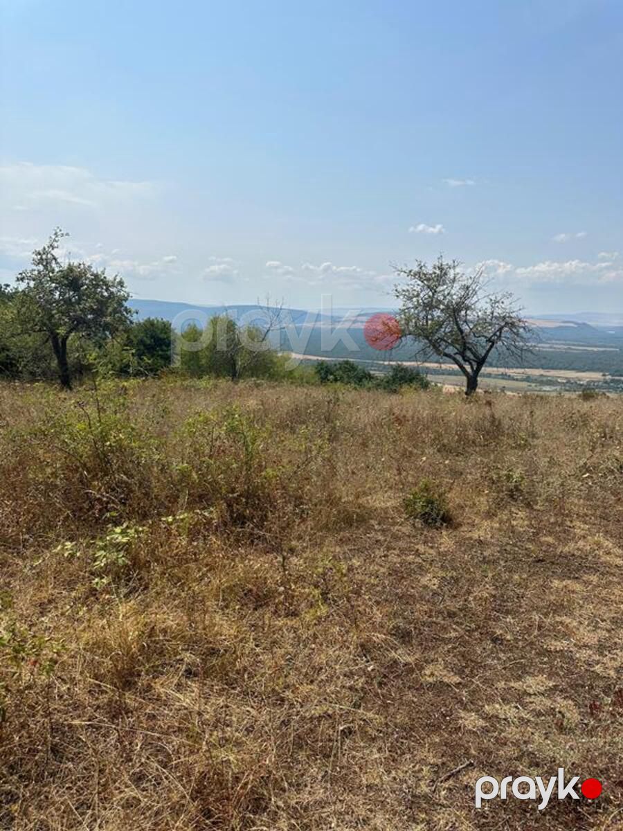 500 sot torpaq sahəsi, Vəndam k — Torpaq, Qəbələ (12)