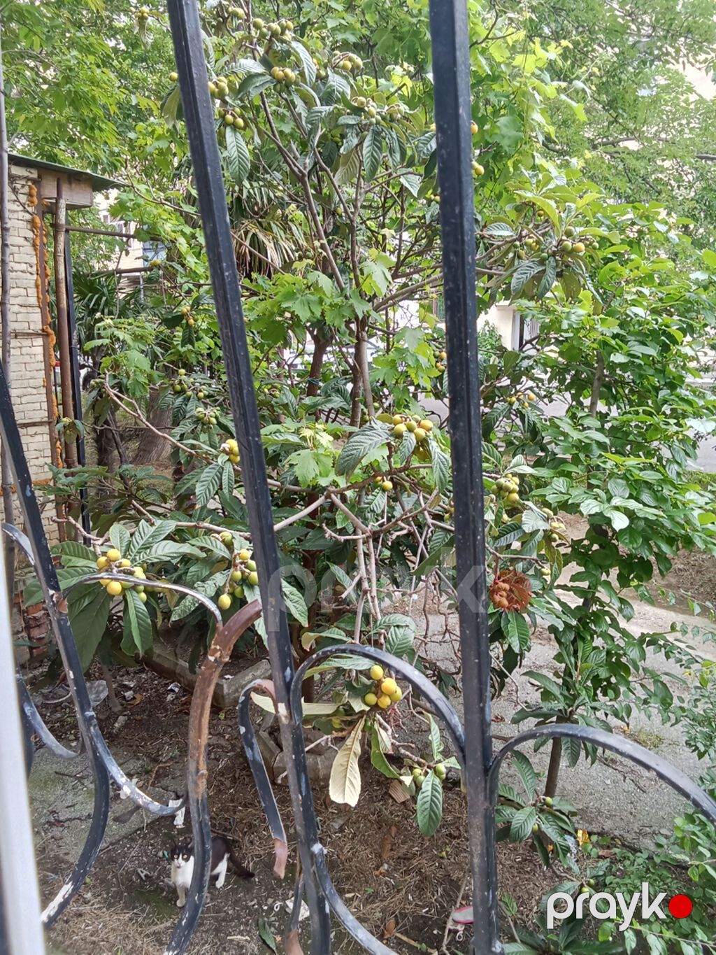 Bakı, 1 otaqlı, Köhnə tikili, 32 kv. m — Mənzil, Bakı (9)