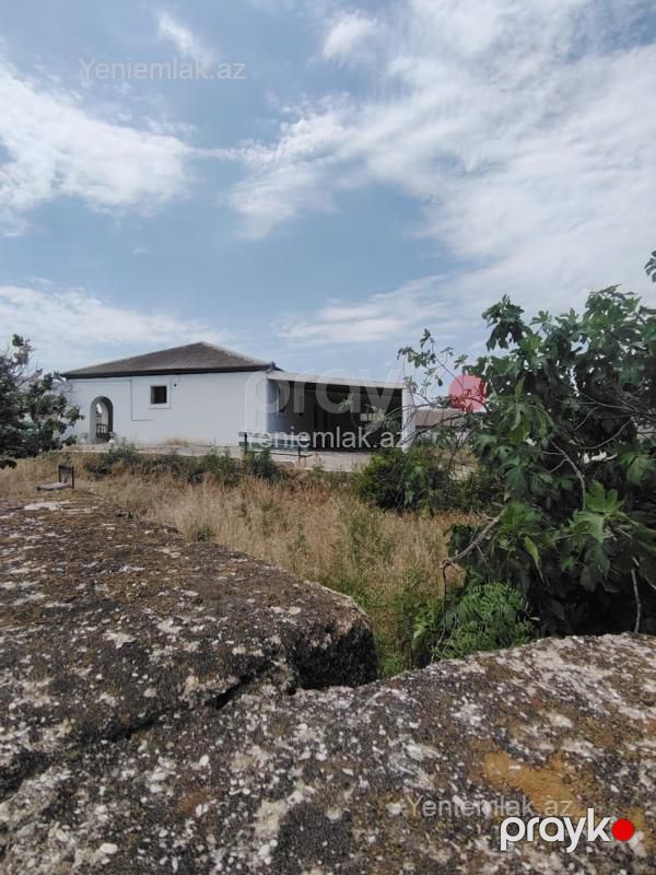Satılır Torpaq sahəsi, 23 sot, Qurd dərəsi — Torpaq, Sumqayıt (2)