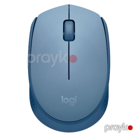 Logıtech M171 Wireless Mouse - Bluegrey Blue — Bakı