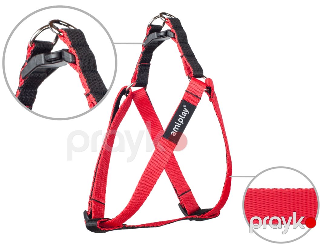 İtlər üçün qayış Amiplay Twist, ölçü S, 20-35x1 sm, polipropilen, qırmızı — Mallar, Bakı (2)