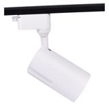 Sparkled vitrin spotu ağ 6000K 35W TL2305-35W-W wh — Omid.az — Lighting