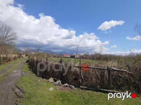 Satılır torpaq 18 sot — Qəbələ