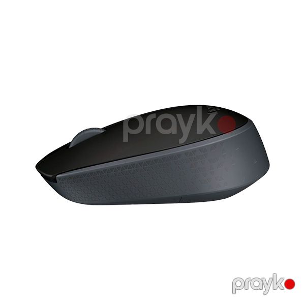 Logitech Wireless Mouse M171 Black — Mallar, Bakı (3)