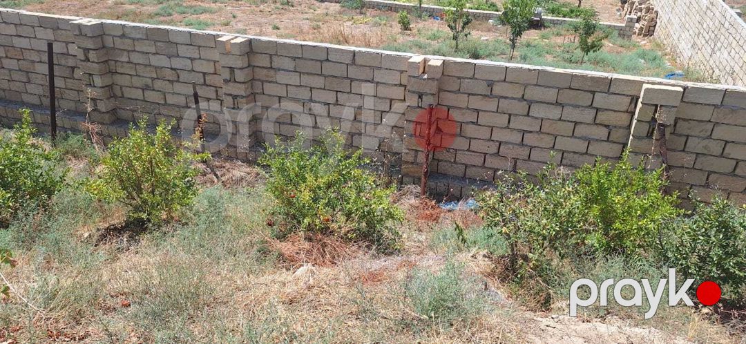 Satılır torpaq 5.5 sot — Torpaq, Sumqayıt (5)