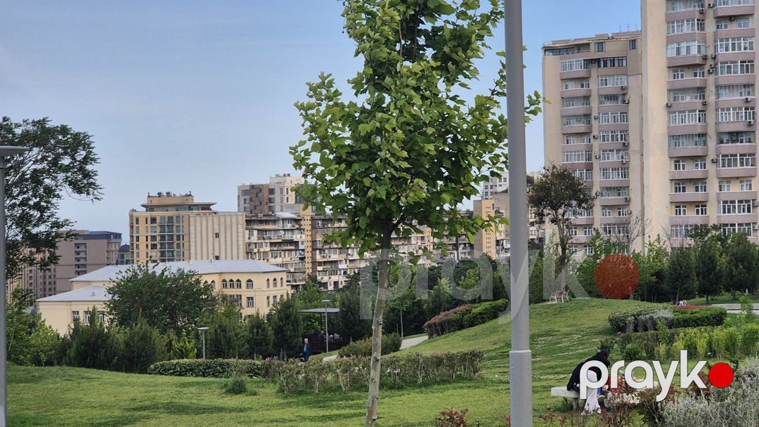 Satılır 4 otaqlı yeni tikili 264 m² — Mənzil, Bakı (8)
