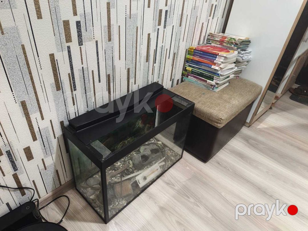 Akvarium — Akvariumlar və balıqlar, Bakı (2)