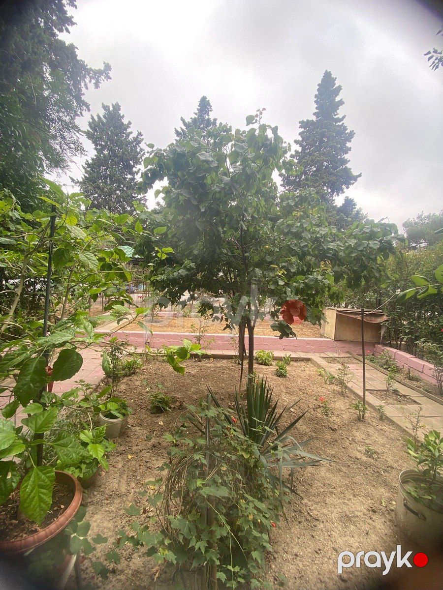 Satılır 3 otaqlı köhnə tikili 70 m² — Mənzil, Bakı (10)