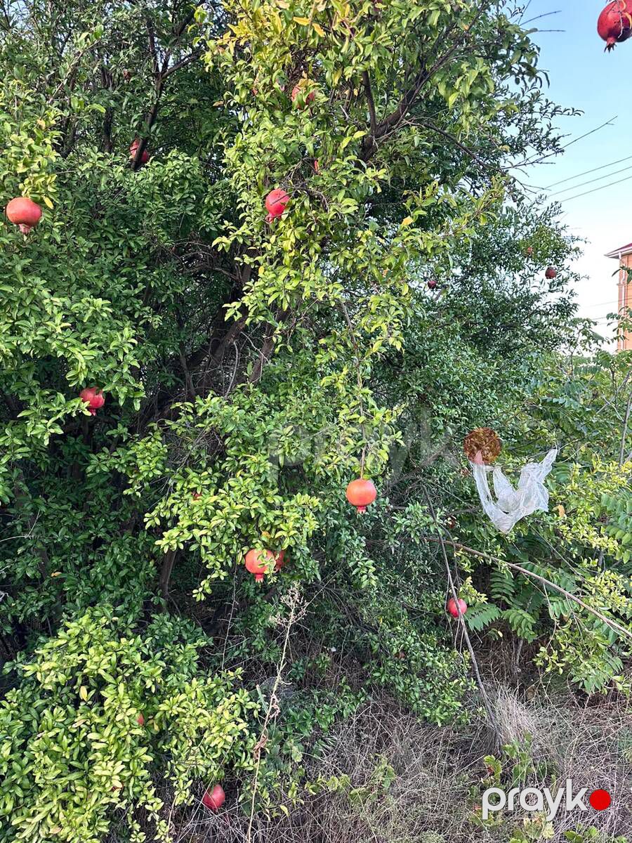 Satılır torpaq 2 sot — Torpaq, Bakı (3)