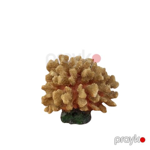 Akvarium dekoru Koral — Bakı