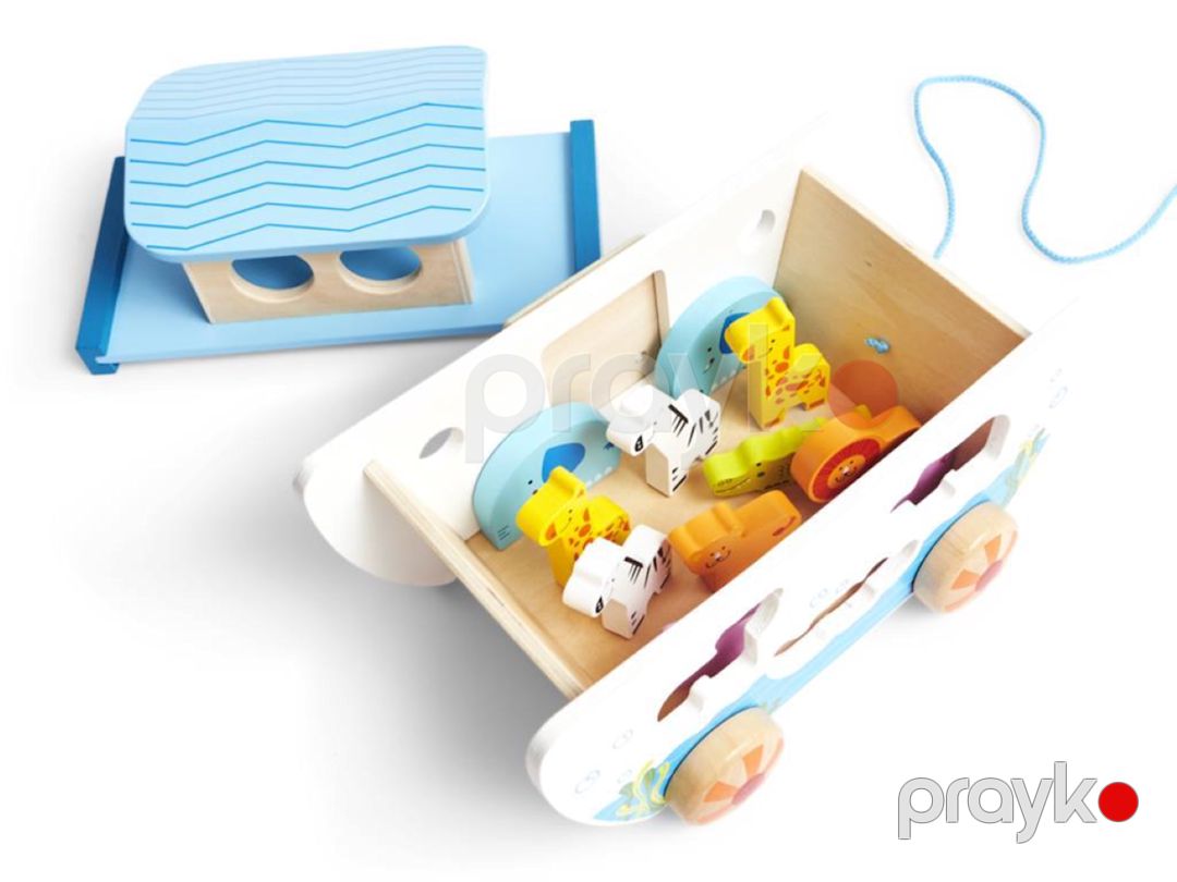 Sorter Hape Pull Along Noah's Ark, 17 əd, rəngarəng — Mallar, Bakı (4)