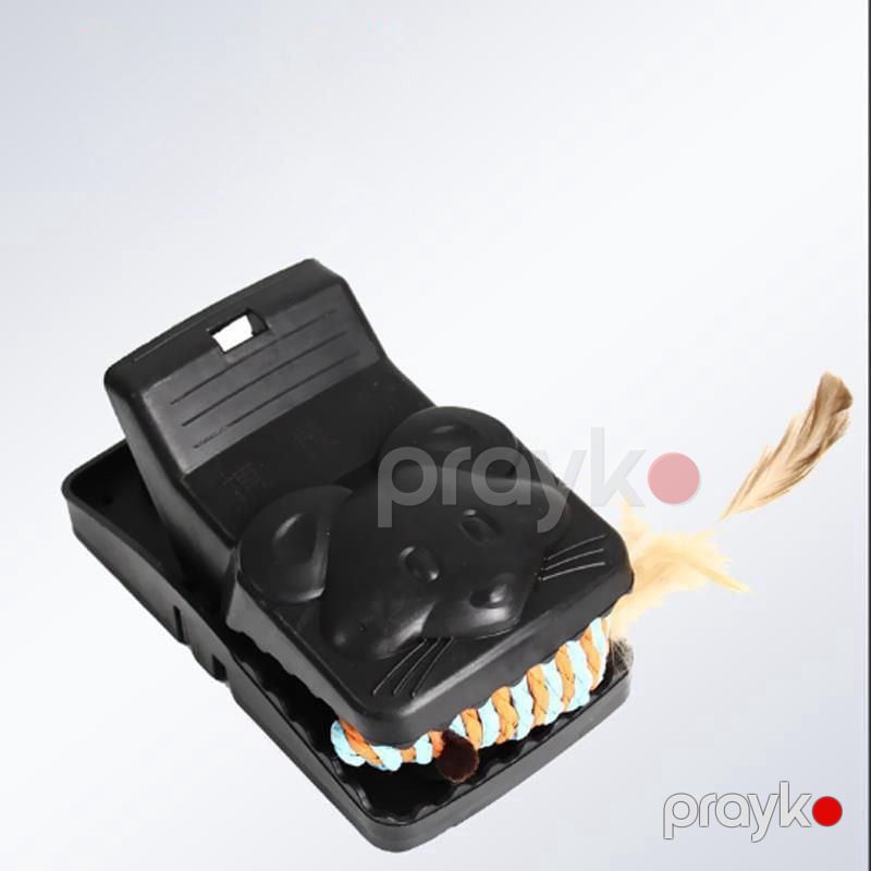 Gəmirici tələsi, siçan və siçovul üçün prl_99134 — Mallar, Bakı (3)
