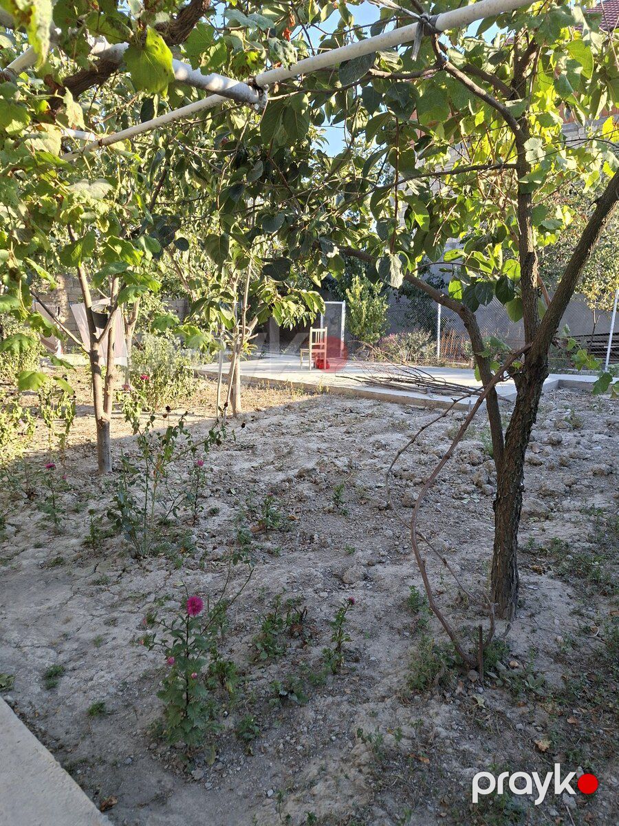 Həyət evi, Şəki ş — Ev, villa, Şəki (4)