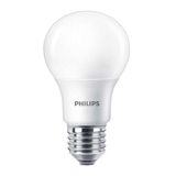 Phılıps essentıal LED lampa 5,5 - 40W 6500K 230V tr — Omid.az — Lighting