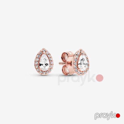 Qadın üçün sırğalar TT Silver PNS011 qızılı
