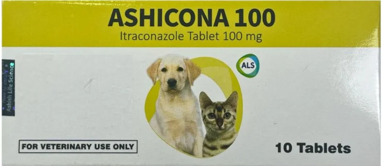 Aşikona 100 mq — Bakı