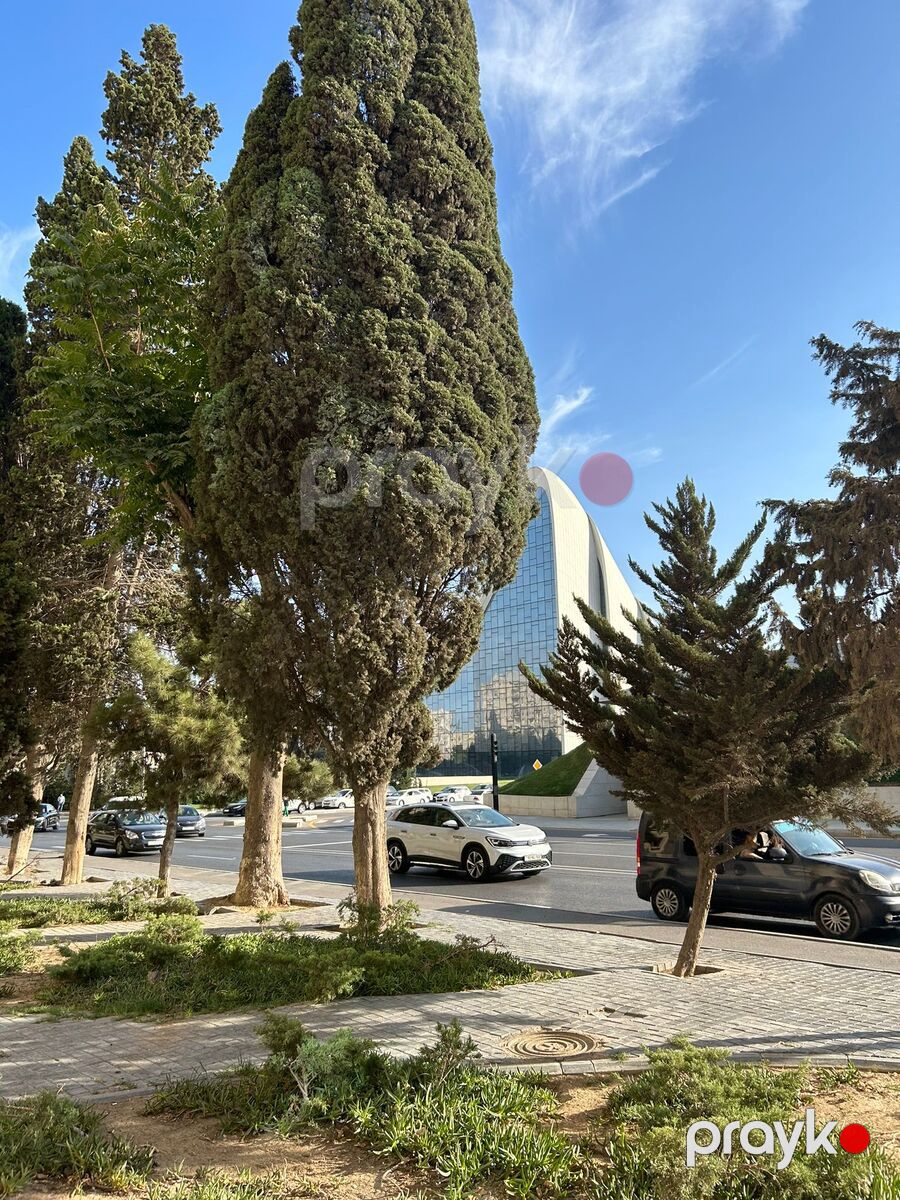 İcarəyə verilir obyekt 80 m² — Əmlak, Bakı (6)