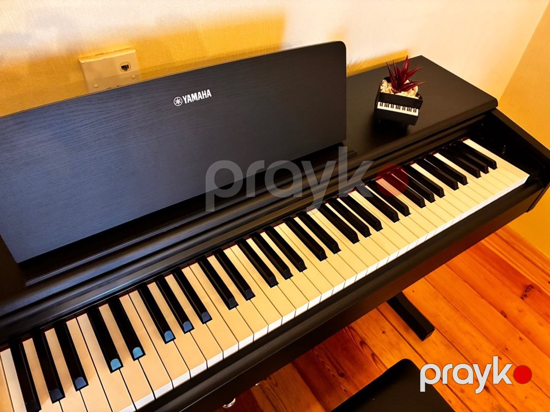 Yamaha Arius YDM 145 — Musiqiə alətləri, Bakı (4)