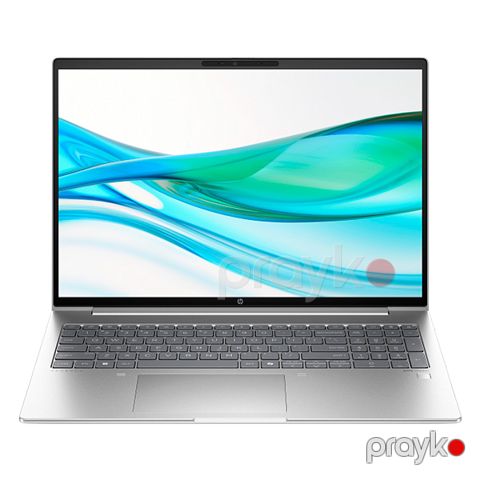 HP ProBook 460 G11 (B9ZF2ET#BH5) Silver
