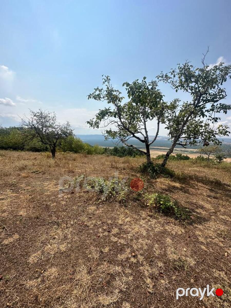 500 sot torpaq sahəsi, Vəndam k — Torpaq, Qəbələ (6)