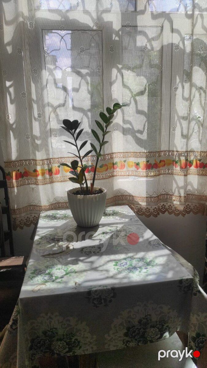 1-otaqlı mənzil kirayə verilir, Elmlər Akademiyası m., 35 m² — Mənzil, Bakı (10)