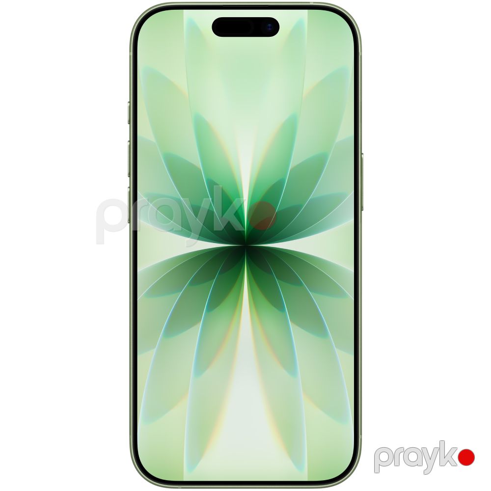 iPhone 17 256 GB Sage — Smartfonlar, Bakı (3)