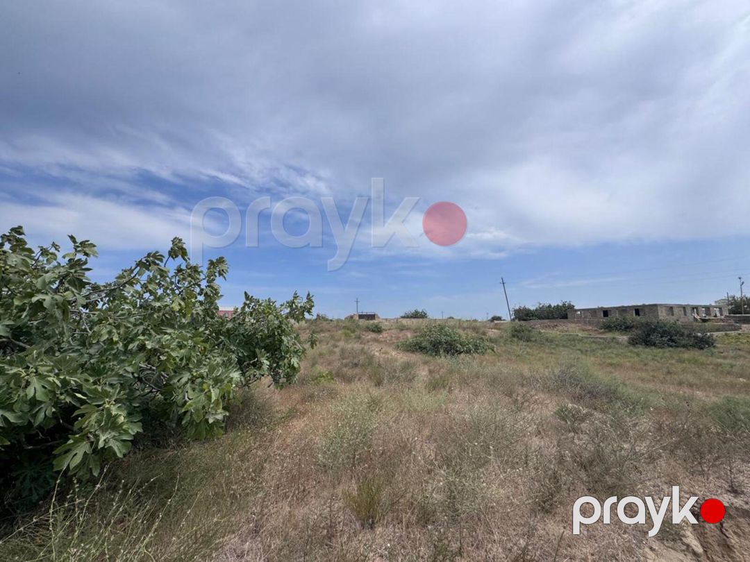 Satılır torpaq 7 sot — Torpaq, Bakı (4)