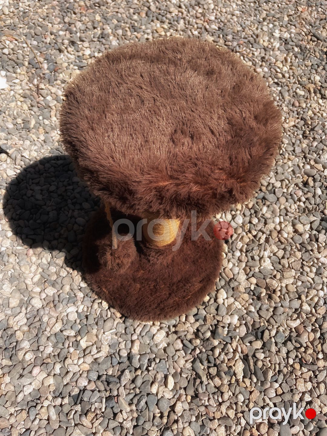 Pişik üçün Dırmıqlama Taxtası, Qəhvəyi, Möhkəm və Əyləncəli Oyun — Mallar, Bakı (2)