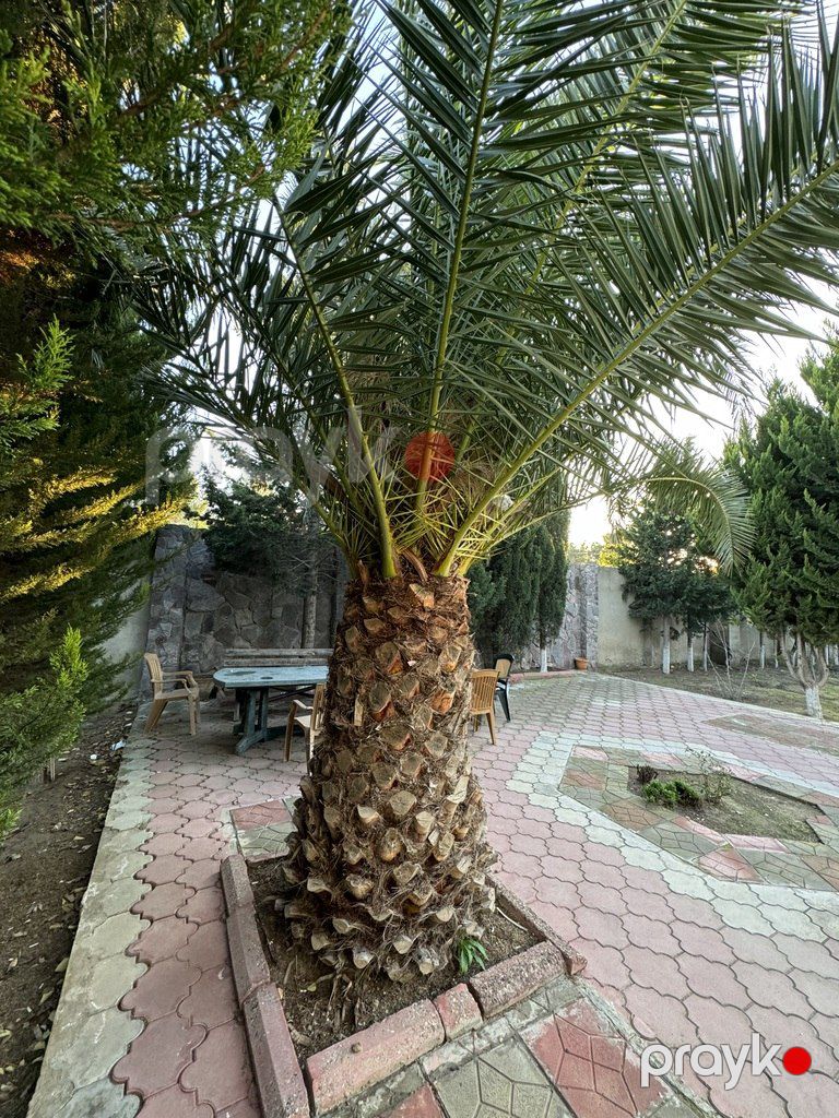 Satılır 6 otaqlı həyət evi/bağ evi 240 m² — Ev, villa, Bakı (6)