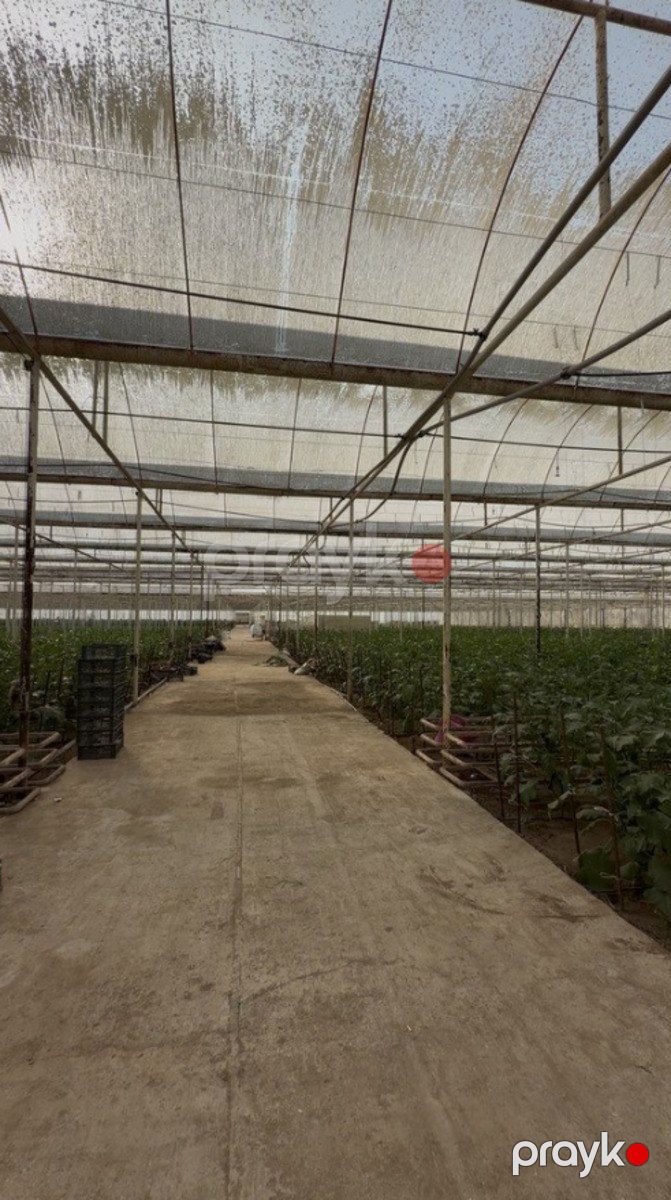 Satılır obyekt 400000 m² — Əmlak, Bakı (4)