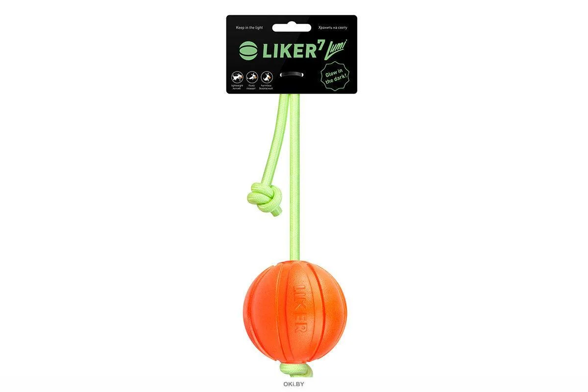 Collar Liker Lumi top ilə işıqlandırma şnur ilə bala itlər və itlər kiçik cinslər, narıncı, Ø5 sm — Bakı