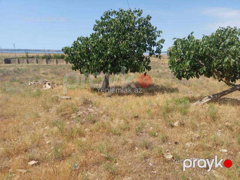 Satılır Torpaq sahəsi, 12 sot, PirAllahı rayonu — Torpaq, Bakı (3)