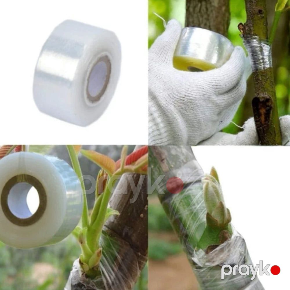 Bağ üçün calaq lent 1 düym x 300 metr, bioloji parçalana bilən, özünü aşılayan şəffaf film Meyvə, çiçək, ağac və bitkilər üçün - prm1_34 — Mallar, Bakı (3)